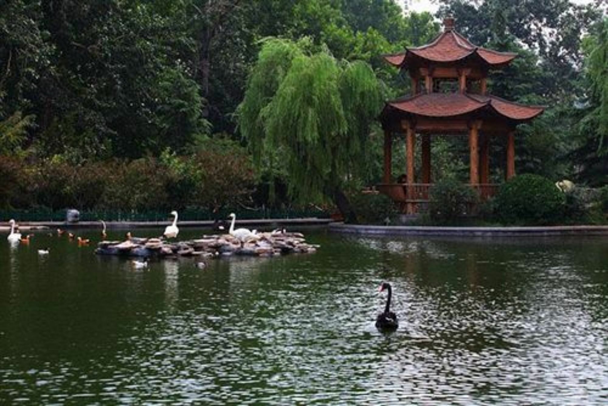 Shan Dong Hotel Jinan Exterior foto